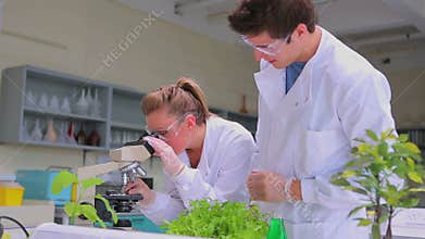 Chemists looking through microscope