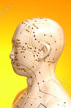 Acupuncture Points And Meridians