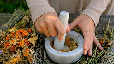 Woman with dried medicinal herbs. Selective focus.