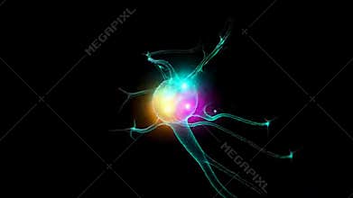 Fast morphing portraits show microscopic cells and neurons with glowing organic structures