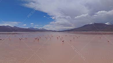 Aerial View of Flamingos in a Pink Salt Lake in Bolivia, Surrounded by Majestic Mountains