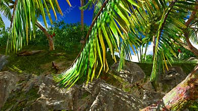 Paradise on Hawaii Island