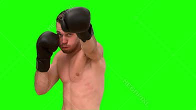 Brunette man parcticing boxing on green background