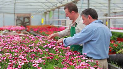 Gardener and customer standing at the greenhouse
