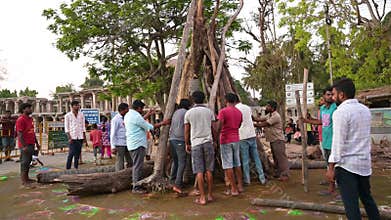 Holika Dahan, men collect wood for ritual bonfire, Kolam colorful painting, evening of holi festival in India, burning the evil,