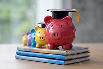 Colorful Piggy Banks With Graduation Caps on Stacked Books Near a Window