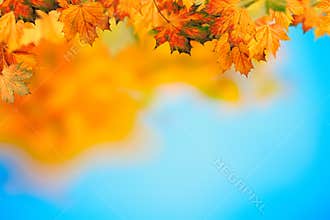 Abstract autumnal backgrounds