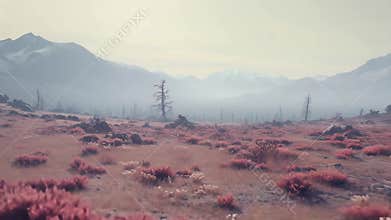Alien planet landscape with unique pink plant life