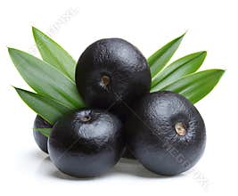 Amazon acai fruit with leaf