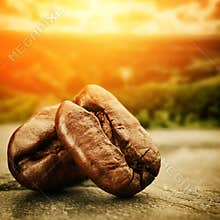 Coffee beans with sunset over plantation valley