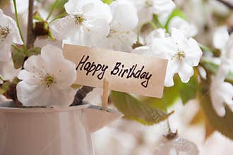 HAPPY BIRTHDAY