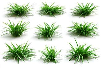 The minimal and isolated set of grass line cads on a white background encompasses ground cover, elevation view, grass