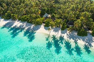 Beautiful aerial beach landscape green palm trees casting shadows calm turquoise lagoon relaxing tropical paradise island view