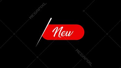 New Text Reveal Animation Video on Black Background Minimal Typography Motion Overlay