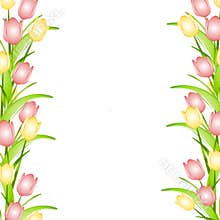 Pink Yellow Spring Tulips Flower Border