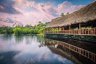 Serenity in Ecuador's Amazon