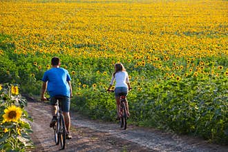 Teen couple riding bike in sunflower field