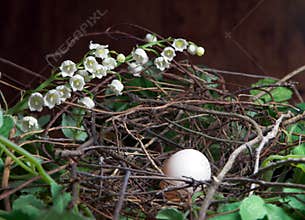 Easter nest