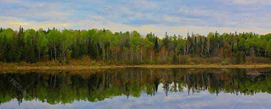 Alignment of trees and their reflection in a forest lake, Lorentide, Quebec, Canada
