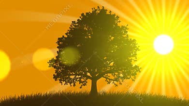 4 Seasons: Summer (Animated Background)