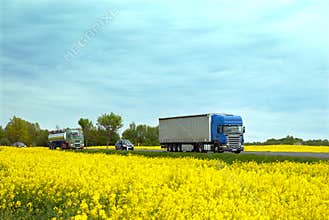 The rural road with traffic