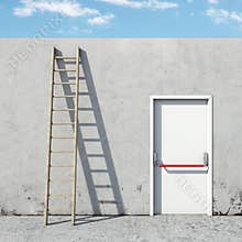 Choice between the door and ladder