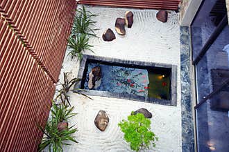 Koi pond garden