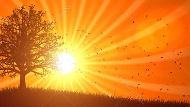 4 Seasons: Fall (Animated Background)