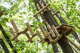 Adventure games in trees