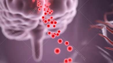 Abstract Visualization of Brain with Red Spheres Flowing Along Neural Pathways on a Grayish Backdrop for Medical and Scientific