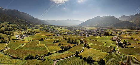 view of the village and vineyards of Maienfeld in late autumn