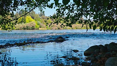 Small Rapids Flowing on the American River, Framed by Lush Trees