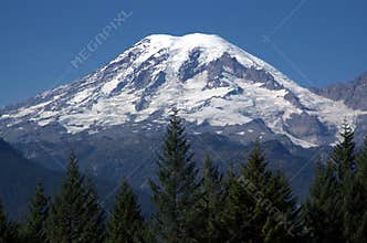 Rainer