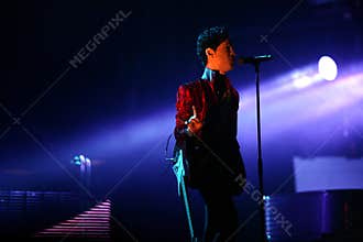 PRINCE IN CONCERT
