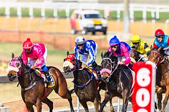 Horse Racing Action