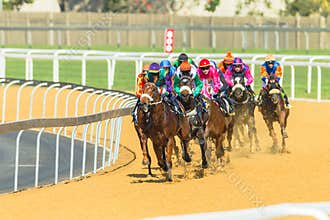 Horse Racing Action