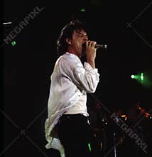 JAGGER AND THE ROLLING STONES