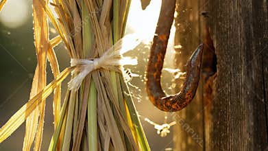 The Secret Life of a Rusty Hook Wait until you see the light