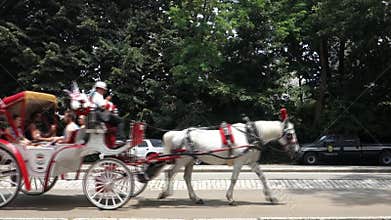 Horse-Drawn Carriage in New York City