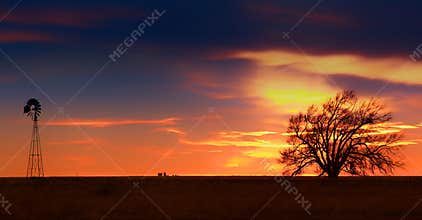 West Texas Sunset