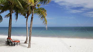 Tropical beach with palm trees and lounge
