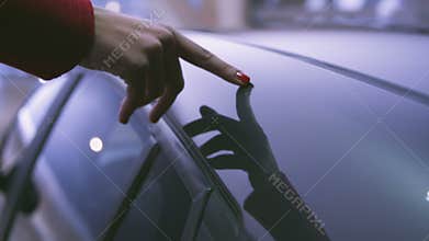 In love with the car