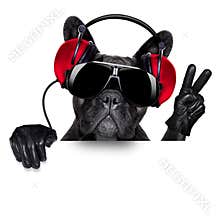 Dj dog