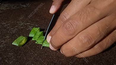 Cutting the aloe vera plant with a knife