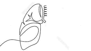 Human lungs one line art animation video minimalist outline motion design