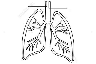 Continuous one line art of human lungs simple minimalist drawing