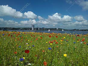 Cardiff Bay