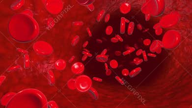 Blood cells flowing through vein