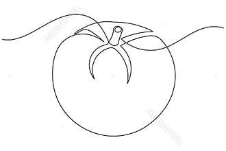 Fresh organic tomato single line art food illustration