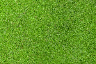 Bowling Green